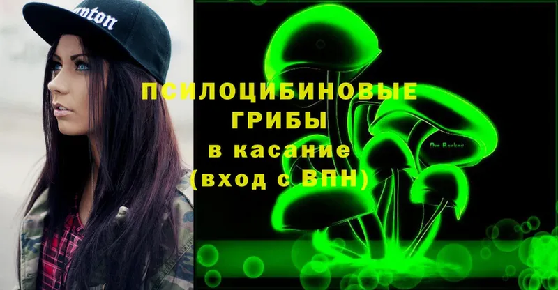 Галлюциногенные грибы Magic Shrooms  купить наркотик  Новомичуринск 